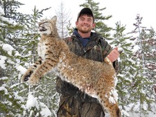 Mackenzie shot a great bobcat while mountain lion hunting in Montana.
